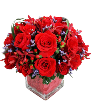 chúc mừng sinh nhật  giỏ hoa hồng đỏ giỏ hoa hồng đỏ Lãng hoa chúc mừng  sinh