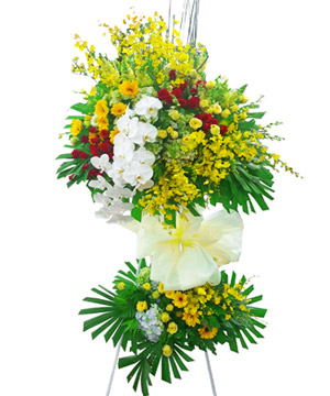 Ý nghĩa về hình ảnh hoa khai trương - Vietflower