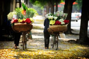 shop hoa tươi tại Hà Nội
