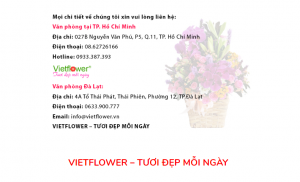 điện hoa chia buồn