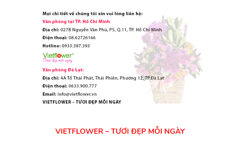 hoa chia buồn tang lễ