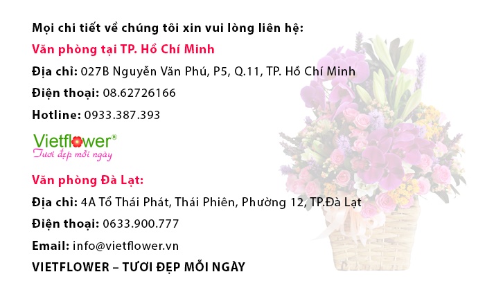 hoa sinh nhật đẹp độc đáo