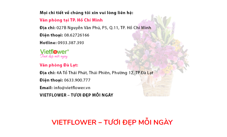 shop hoa tươi tại quận Bình Thạnh