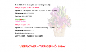 Vietflower - Shop hoa tươi tại Quận Tân Phú
