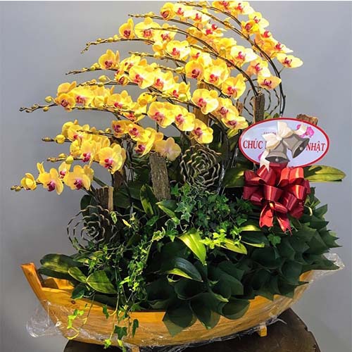 Những mẫu hoa tặng sinh nhật sang trọng dành cho sếp  Chuyên mục tin tức   Dalat Hasfarm 